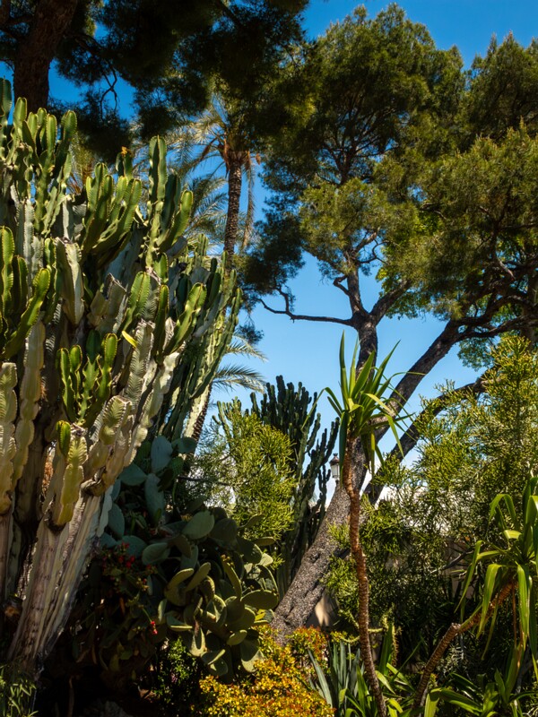 Jardin d'Acclimatation